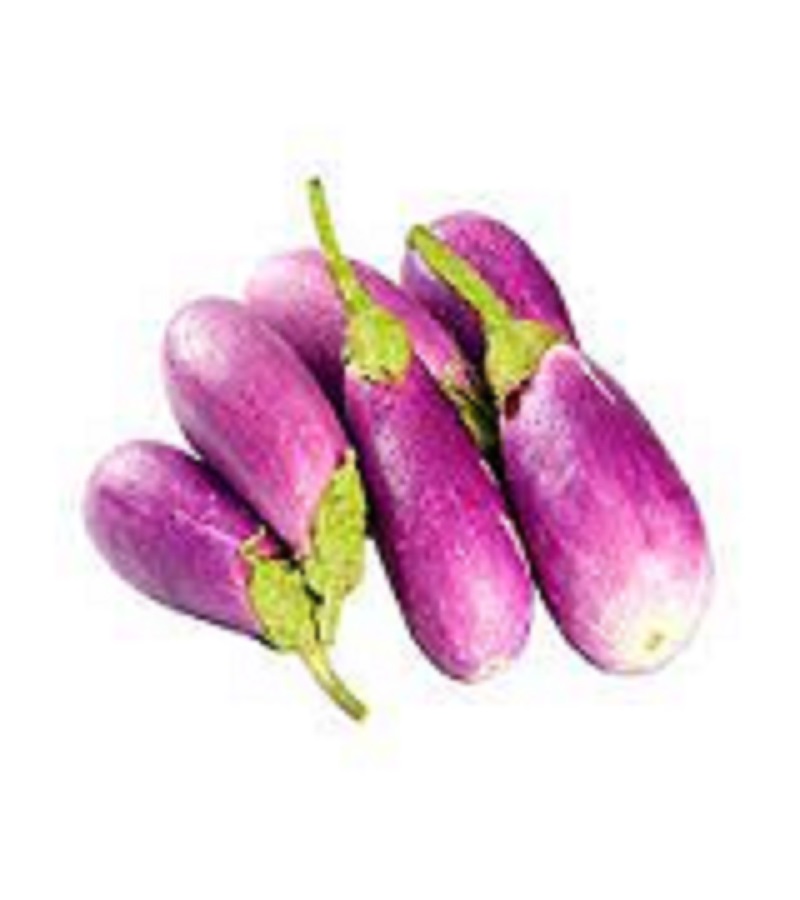 Brinjal (Ujala) / கத்தரிக்காய் (உஜாலா)